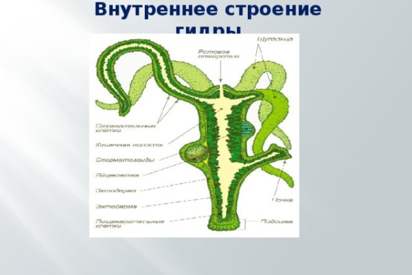 Кракен современный маркетплейс
