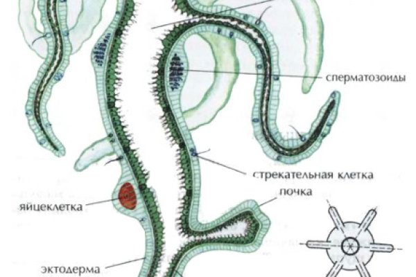 Кракен это современный даркнет маркетплейс