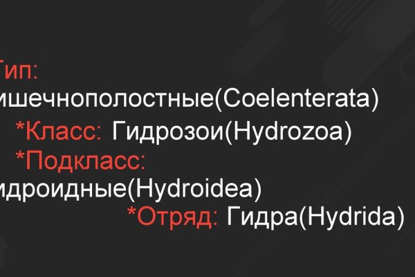 Войти в кракен