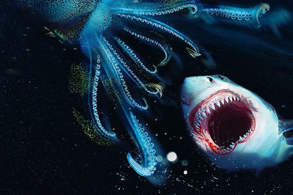 Kraken ссылка krakens13 at